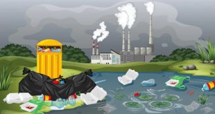 5 Cara Mencegah Pencemaran Lingkungan untuk Kesehatan Masyarakat